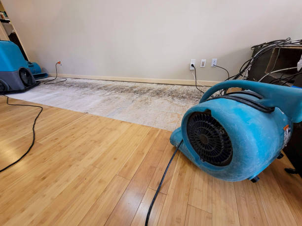 Reliable Basement Flood Cleanup contractor in Coal City, IL by Hirex Water Damage