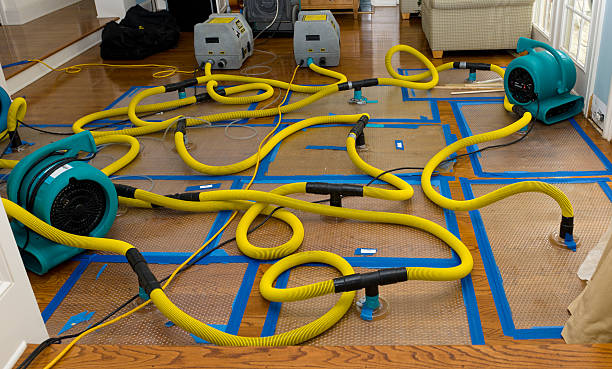 Professional Basement Flood Cleanup technician working in Coal City, IL